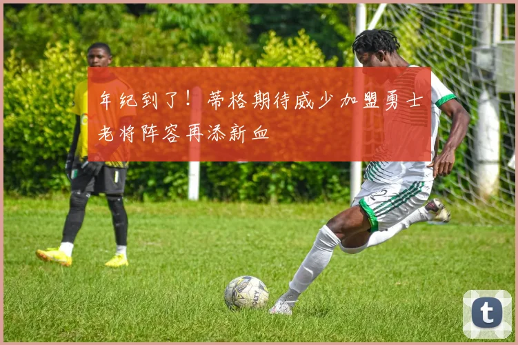 年纪到了！蒂格期待威少加盟勇士老将阵容再添新血