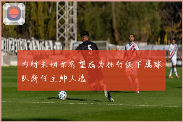 内特米切尔有望成为独行侠下属球队新任主帅人选